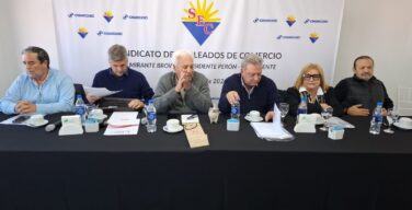 MOVIMIENTO MERCANTIL DEL INTERIOR – REUNIÓN REGIONAL